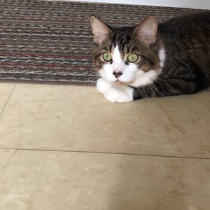 Meet your Posher, Sierra